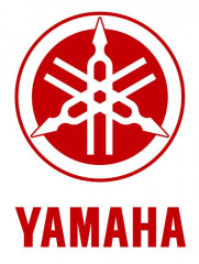 JH 1979er XT 500 Yamaha 1979  (19)