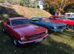 Bild 11 von Oldtimer IG unterwegs: Oldtimer im Tierpark Nordhorn
