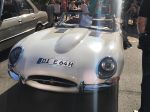 Bild 12 von Oldtimer IG unterwegs: Oldtimer im Tierpark Nordhorn