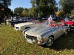 Bild 14 von Oldtimer IG unterwegs: Oldtimer im Tierpark Nordhorn