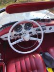 Bild 15 von Oldtimer IG unterwegs: Oldtimer im Tierpark Nordhorn