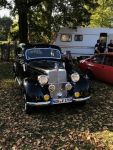 Bild 16 von Oldtimer IG unterwegs: Oldtimer im Tierpark Nordhorn