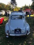 Bild 18 von Oldtimer IG unterwegs: Oldtimer im Tierpark Nordhorn