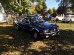 Bild 19 von Oldtimer IG unterwegs: Oldtimer im Tierpark Nordhorn