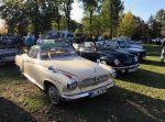 Bild 2 von Oldtimer IG unterwegs: Oldtimer im Tierpark Nordhorn