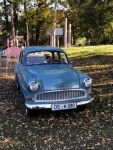 Bild 21 von Oldtimer IG unterwegs: Oldtimer im Tierpark Nordhorn