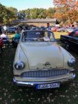 Bild 22 von Oldtimer IG unterwegs: Oldtimer im Tierpark Nordhorn