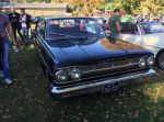 Bild 24 von Oldtimer IG unterwegs: Oldtimer im Tierpark Nordhorn