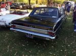 Bild 25 von Oldtimer IG unterwegs: Oldtimer im Tierpark Nordhorn