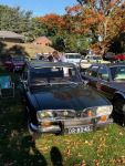 Bild 26 von Oldtimer IG unterwegs: Oldtimer im Tierpark Nordhorn