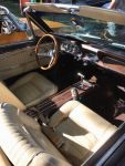 Bild 30 von Oldtimer IG unterwegs: Oldtimer im Tierpark Nordhorn