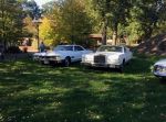 Bild 31 von Oldtimer IG unterwegs: Oldtimer im Tierpark Nordhorn