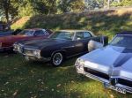 Bild 32 von Oldtimer IG unterwegs: Oldtimer im Tierpark Nordhorn