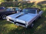 Bild 33 von Oldtimer IG unterwegs: Oldtimer im Tierpark Nordhorn