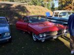 Bild 34 von Oldtimer IG unterwegs: Oldtimer im Tierpark Nordhorn