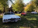 Bild 36 von Oldtimer IG unterwegs: Oldtimer im Tierpark Nordhorn