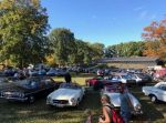 Bild 39 von Oldtimer IG unterwegs: Oldtimer im Tierpark Nordhorn