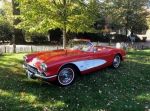 Bild 4 von Oldtimer IG unterwegs: Oldtimer im Tierpark Nordhorn