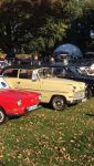 Bild 40 von Oldtimer IG unterwegs: Oldtimer im Tierpark Nordhorn