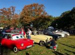 Bild 41 von Oldtimer IG unterwegs: Oldtimer im Tierpark Nordhorn