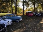 Bild 43 von Oldtimer IG unterwegs: Oldtimer im Tierpark Nordhorn