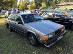 Bild 44 von Oldtimer IG unterwegs: Oldtimer im Tierpark Nordhorn