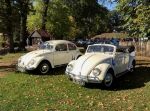 Bild 46 von Oldtimer IG unterwegs: Oldtimer im Tierpark Nordhorn