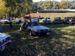 Bild 5 von Oldtimer IG unterwegs: Oldtimer im Tierpark Nordhorn