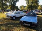 Bild 7 von Oldtimer IG unterwegs: Oldtimer im Tierpark Nordhorn