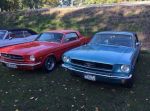 Bild 8 von Oldtimer IG unterwegs: Oldtimer im Tierpark Nordhorn