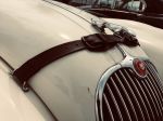 Bild 8 von Oldtimer IG unterwegs: British Race Festival in Zandvoort und Healey Museum in Vreeland/NL