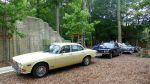 Bild 10 von Wilde Tier und alte Autos - Die Oldtimer IG im Osnabrücker Zoo