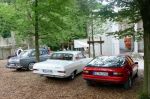 Bild 11 von Wilde Tier und alte Autos - Die Oldtimer IG im Osnabrücker Zoo