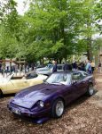 Bild 22 von Wilde Tier und alte Autos - Die Oldtimer IG im Osnabrücker Zoo