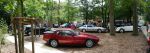 Bild 25 von Wilde Tier und alte Autos - Die Oldtimer IG im Osnabrücker Zoo