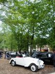Bild 5 von Wilde Tier und alte Autos - Die Oldtimer IG im Osnabrücker Zoo