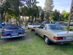 Bild 1 von Oldtimer am Alfsee - Treffen der Oldtimer IG Osnabrück e.V. am Alfsee am 01.09.2024