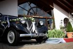 Bild 1 von Trau(m)wagen beim Blumenhof Budke
