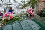 Bild 16 von Trau(m)wagen beim Blumenhof Budke
