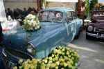 Bild 25 von Trau(m)wagen beim Blumenhof Budke