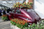 Bild 28 von Trau(m)wagen beim Blumenhof Budke