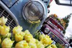 Bild 7 von Trau(m)wagen beim Blumenhof Budke