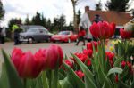 Bild 9 von Trau(m)wagen beim Blumenhof Budke