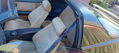 Neues Beachwood Interieur 1 