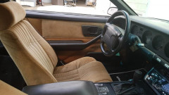 Neues Beachwood Interieur 2 