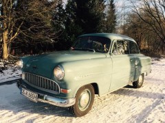 Oskar im Schnee 